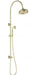 Clasico Dual Shower Rail - GlazeX Bathware + Glazing
